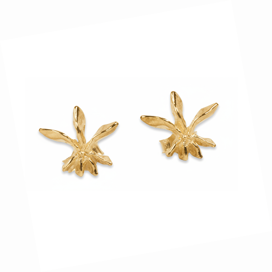 Star Anise Stud Earrings - Gold