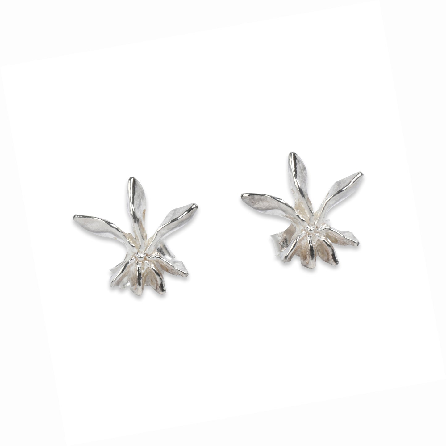 Star Anise Stud Earrings